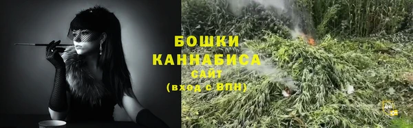 ALPHA-PVP Гусев