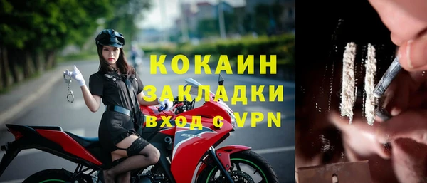 винт Гусь-Хрустальный