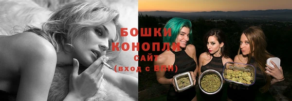 винт Гусь-Хрустальный