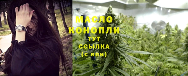 винт Гусь-Хрустальный